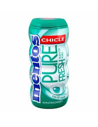 Жев.резинка Mentos Gum Wintergreen   30гр