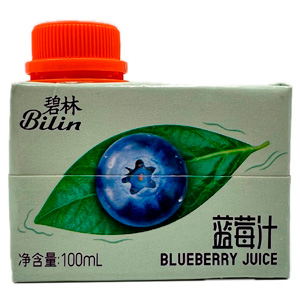 Напиток BILIN черничный   100мл